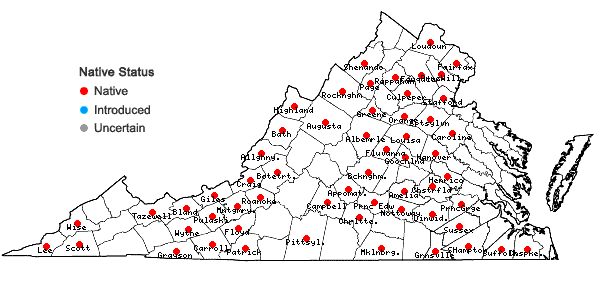 Locations ofSenega sanguinea (L.) J.F.B. Pastore & J.R. Abbott in Virginia