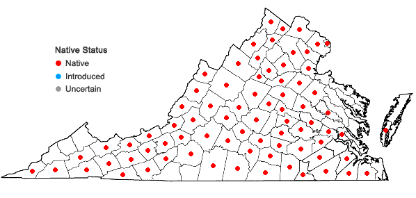 Locations ofSenega verticillata (L.) J.F.B. Pastore & J.R. Abbott in Virginia