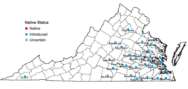 Locations ofSenna obtusifolia (L.) Irwin & Barneby in Virginia