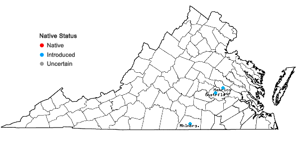 Locations ofSenna occidentalis (L.) Link in Virginia
