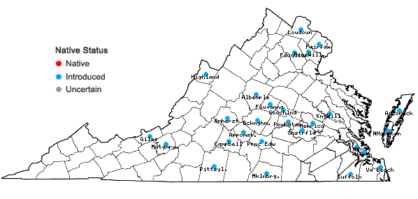 Locations ofSetaria italica (L.) Beauv. in Virginia