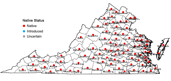 Locations ofSetaria parviflora (Poir.) Kerguelen in Virginia