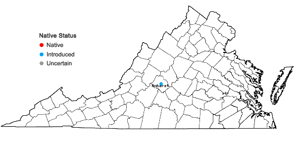 Locations ofShortia galacifolia Torrey & A. Gray var. galacifolia in Virginia