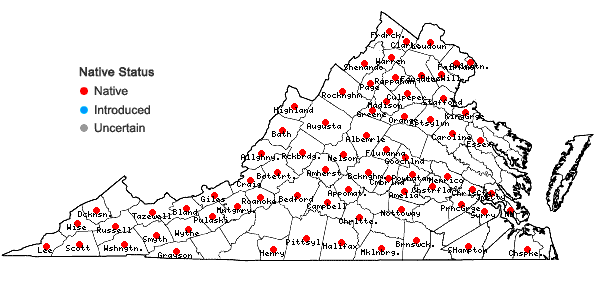 Locations ofSicyos angulatus L. in Virginia