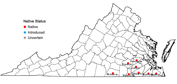 Locations ofSida elliottii Torrey & Gray var. elliottii in Virginia