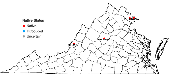 Locations ofSida hermaphrodita (L.) Rusby in Virginia