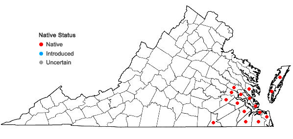 Locations ofSideroxylon lycioides L. in Virginia