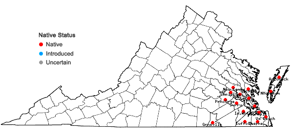 Locations ofSideroxylon lycioides L. in Virginia