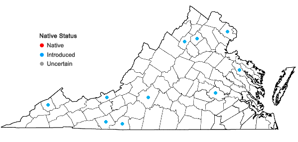 Locations ofSilene armeria L. in Virginia