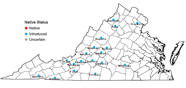 Locations ofSilene dichotoma Ehrh. ssp. dichotoma in Virginia