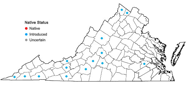 Locations ofSilene noctiflora L. in Virginia
