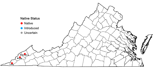 Locations ofSilene ovata Pursh in Virginia