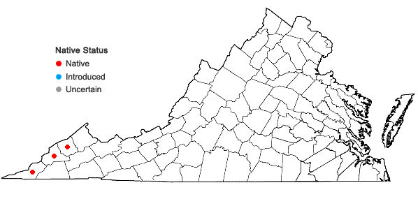 Locations ofSilene rotundifolia Nutt. in Virginia