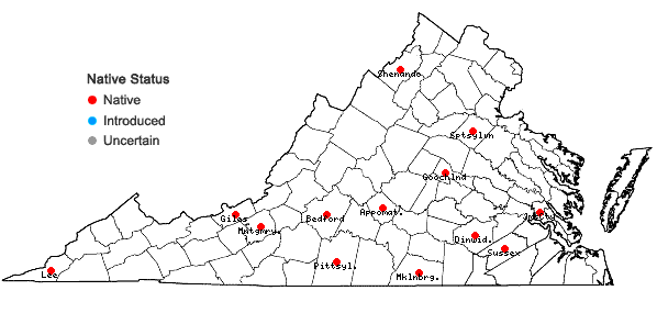 Locations ofSilphium asteriscus L. var. asteriscus in Virginia