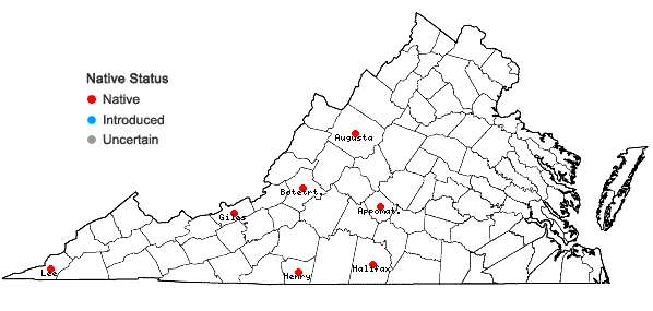 Locations ofSilphium asteriscus L. var. latifolium (Gray) Clevinger in Virginia