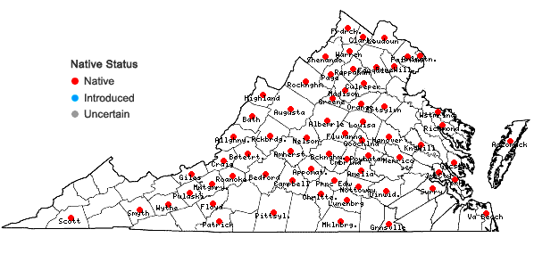Locations ofSilphium asteriscus L. var. trifoliatum (L.) Clevinger in Virginia