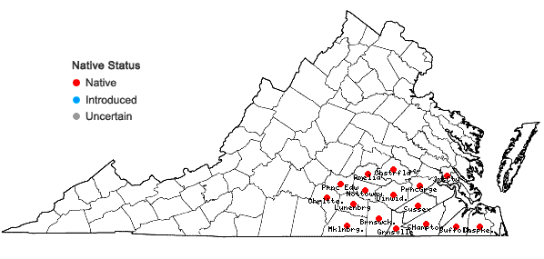 Locations ofSilphium compositum Michx. var. compositum in Virginia