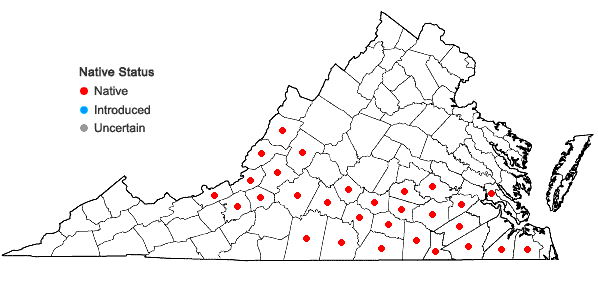 Locations ofSilphium compositum Michx. in Virginia