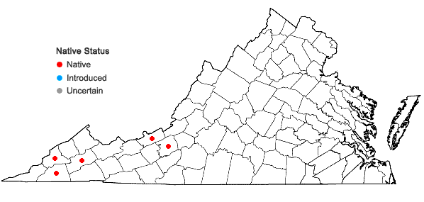 Locations ofSilphium perfoliatum L. in Virginia