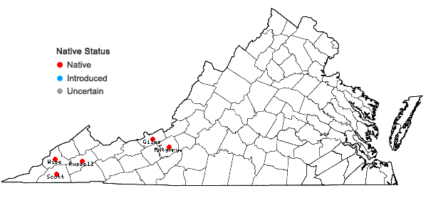 Locations ofSilphium perfoliatum L. in Virginia
