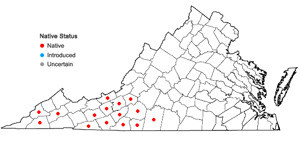 Locations ofSilphium perfoliatum L. in Virginia