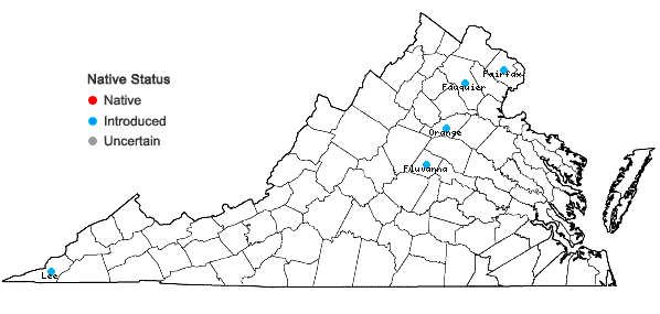 Locations ofSinapis arvensis Linnaeus in Virginia
