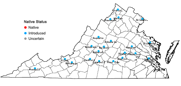 Locations ofSisymbrium altissimum Linnaeus in Virginia
