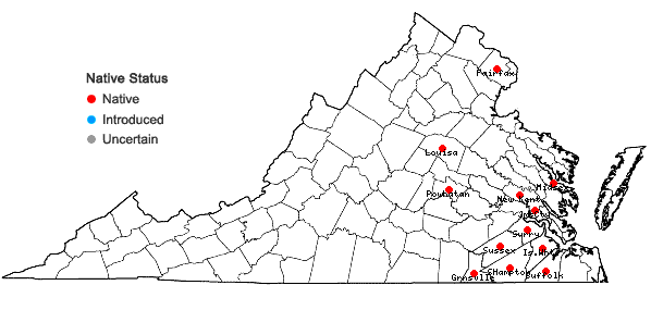 Locations ofSisyrinchium fuscatum Bickn. in Virginia