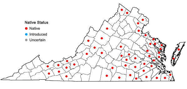 Locations ofSium suave Walt. in Virginia