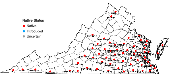 Locations ofSmilax bona-nox L. var. bona-nox in Virginia