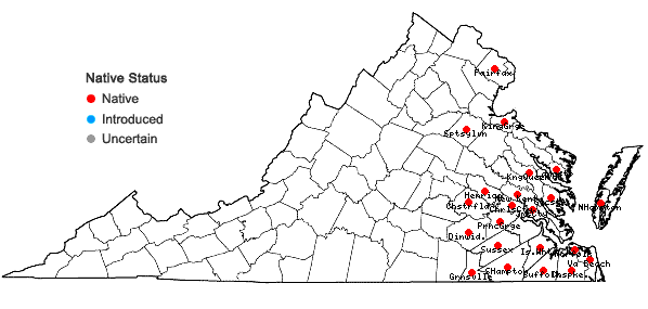 Locations ofSmilax pseudochina L. in Virginia