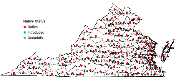 Locations ofSmilax rotundifolia L. in Virginia