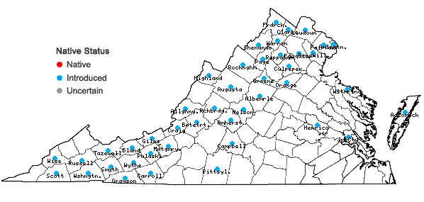 Locations ofSolanum dulcamara L. in Virginia