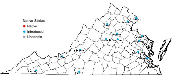 Locations ofSolanum lycopersicum L. in Virginia