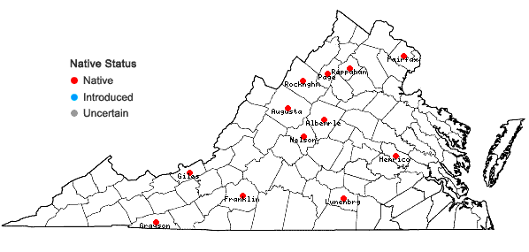 Locations ofSolenostoma gracillimum (Sm.) R.M. Schust. in Virginia