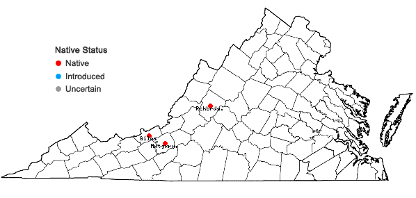 Locations ofSolenostoma pumilum (With.) K. Muell. in Virginia