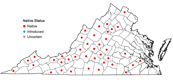 Locations ofSolidago arguta Ait. var. arguta in Virginia