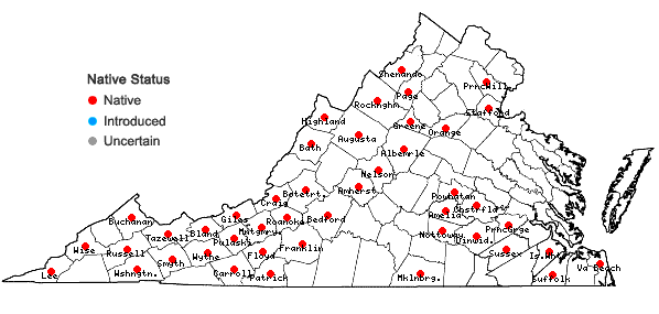 Locations ofSolidago arguta Ait. var. caroliniana Gray in Virginia