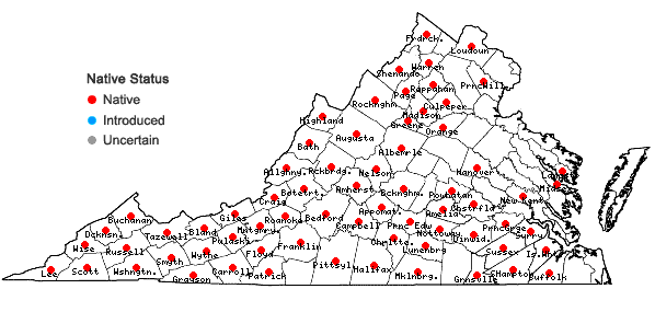 Locations ofSolidago arguta Ait. in Virginia