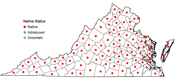 Locations ofSolidago caesia L. var. caesia in Virginia