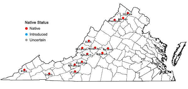 Locations ofSolidago canadensis L. var. hargeri Fern. in Virginia