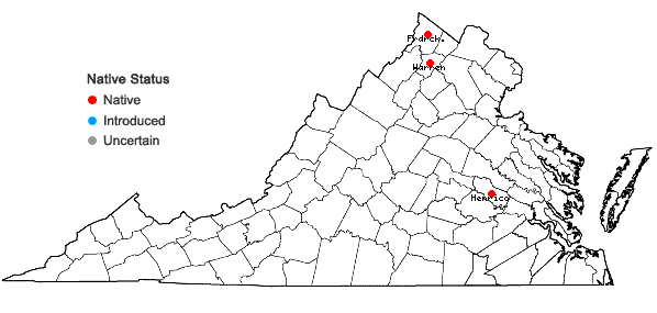 Locations ofSolidago canadensis L. var. canadensis in Virginia