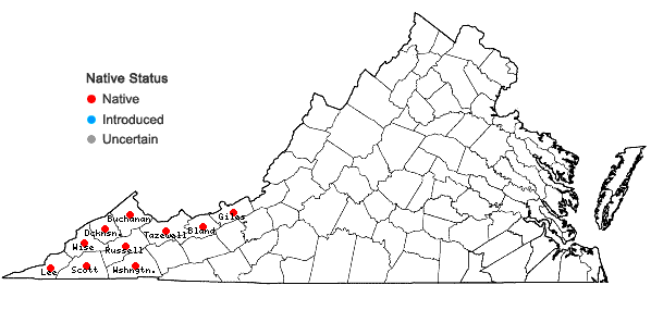 Locations ofSolidago faucibus Wieboldt in Virginia