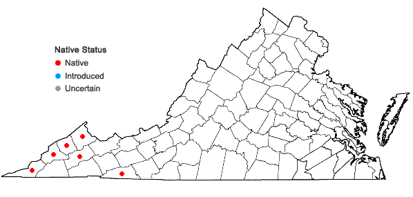 Locations ofSolidago flaccidifolia Small in Virginia