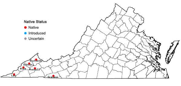 Locations ofSolidago flaccidifolia Small in Virginia