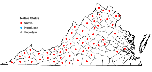 Locations ofSolidago flexicaulis L. in Virginia