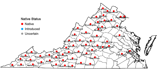 Locations ofSolidago flexicaulis L. in Virginia