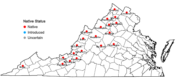 Locations ofSolidago harrisii Steele in Virginia