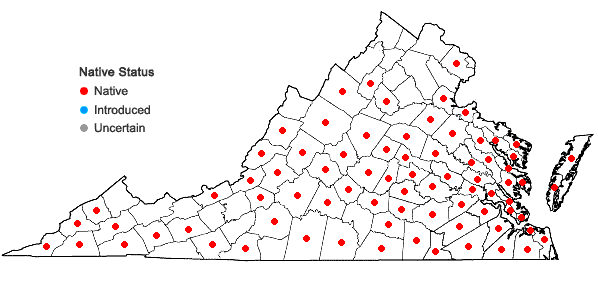 Locations ofSolidago odora Ait. in Virginia