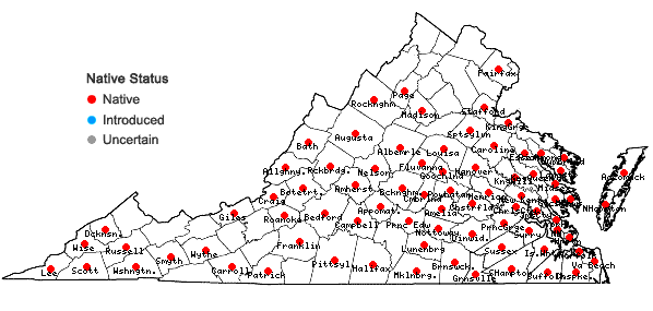 Locations ofSolidago odora Ait. in Virginia